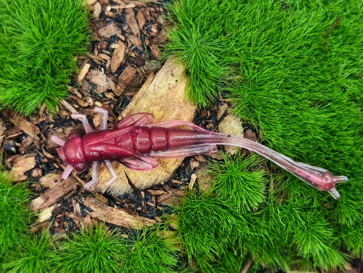 DRAGONFLY NYMPH 1,8 black/pink fluo