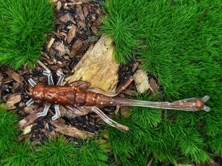 DRAGONFLY NYMPH 1,8 black/orange fluo